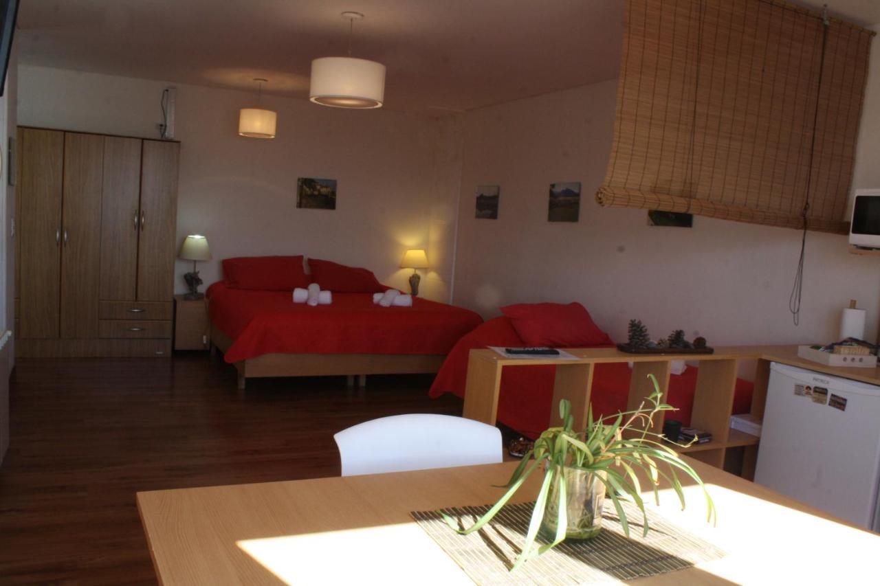 Salamandra Apartamentos 埃尔卡拉法特 外观 照片
