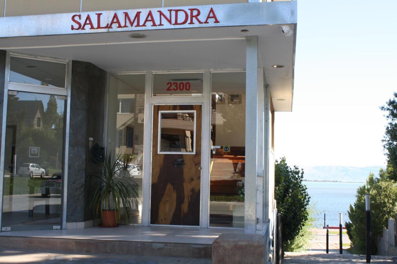 Salamandra Apartamentos 埃尔卡拉法特 外观 照片