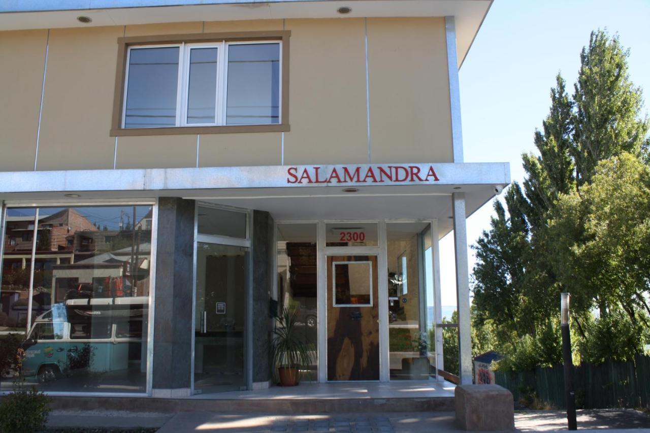 Salamandra Apartamentos 埃尔卡拉法特 外观 照片